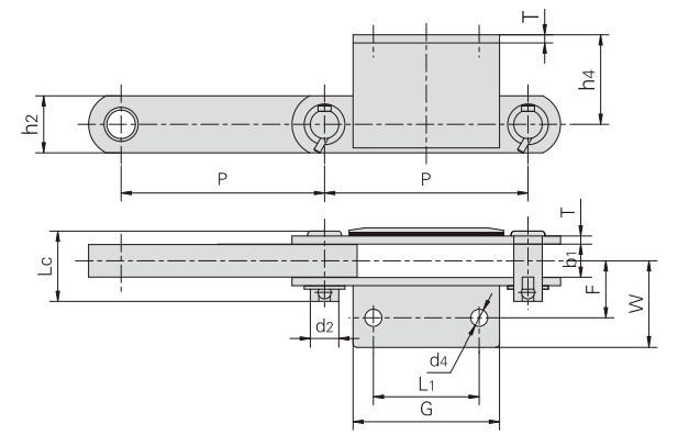 P250F61_<font color='red'><font color='red'>带附</font>板<font color='red'>输送</font>链</font> 工程